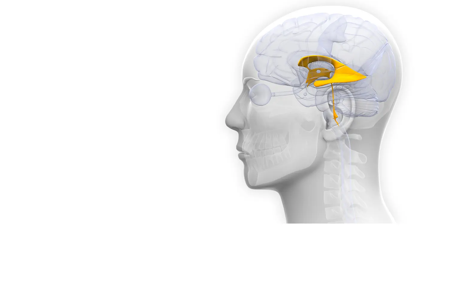 Doctor de Quintana cirurgia cranial hidrocefàlia