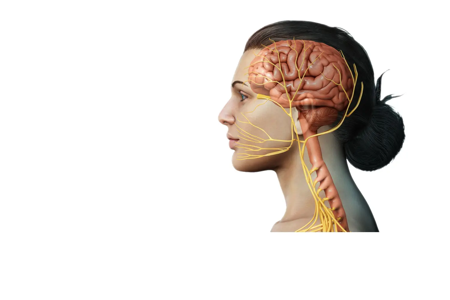 Doctor de Quintana brain surgery Compression of cranial nerves Trigeminal neuralgia